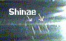 shinae